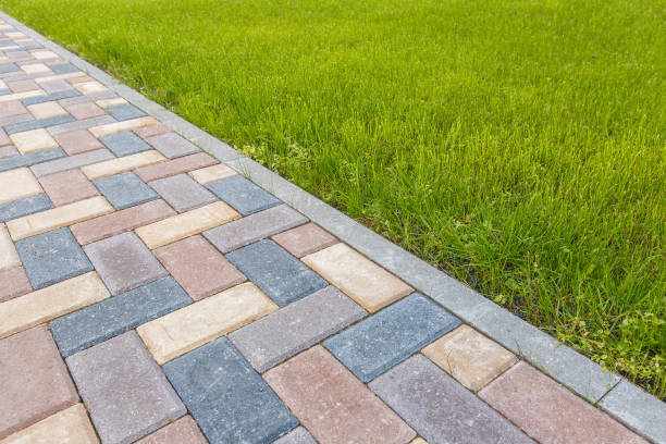 Best Driveway Pavers Near Me  in Shelton, CT